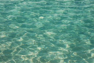 清澈的读音是什么