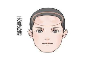 福相男人的面相五官，福相脸