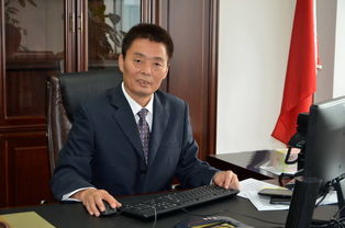 administrative executive 均有行政的,执行的意思,求区别