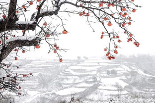 犹言抹灭什么意思?