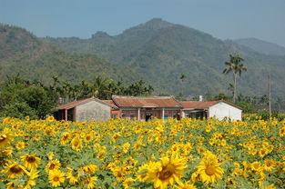 美浓适合什么肤质?美浓适合油性皮肤敏感肌吗?