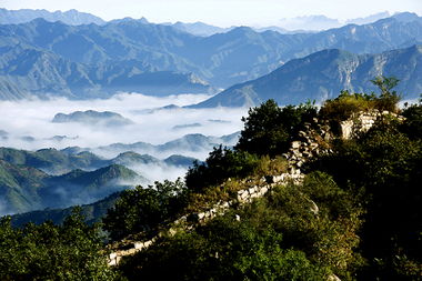 鹫峰属于什么生态系统