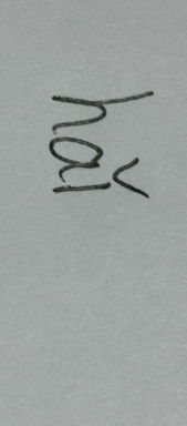 海洋的拼音怎么写的拼音怎么读的，洋的拼音