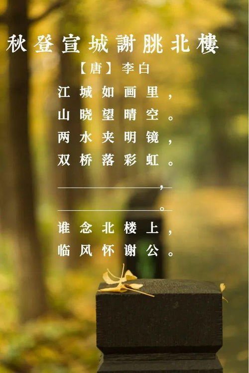 找的什么呀，找得是什么意思