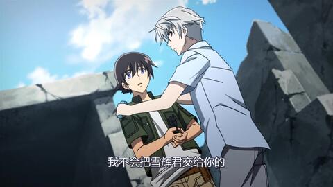 雪辉多少钱一包，雪莲果