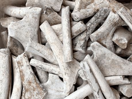 白芍鹿角霜的功效与作用