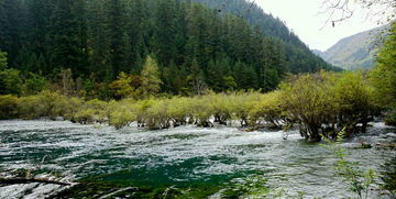 旖旎的意思，风光旖旎的意思和造句