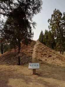 两司马指的是谁和谁?