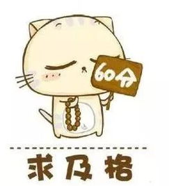 考后总结与反思