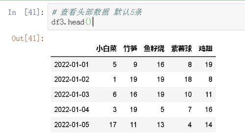 pandas的音标，panda的音标怎么读