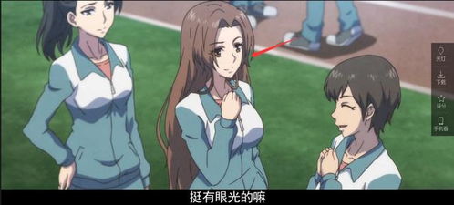 罗织是什么意思