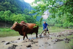 毫厘不爽什么意思?近义词和反义词是什么?