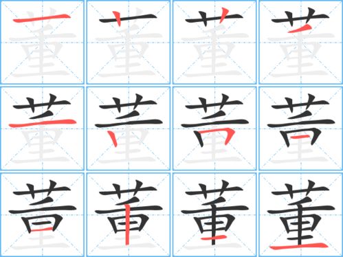 董组词和拼音，鞋组词