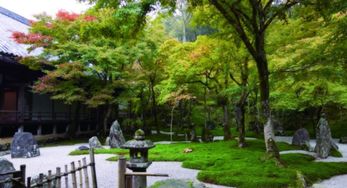 南林风景园林考研科目，风景园林考研科目满分是多少