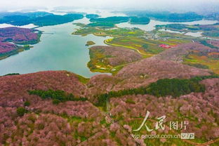 贵州平坝蹦极在哪里