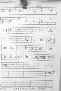 倾向的读音倾向的读音是什么