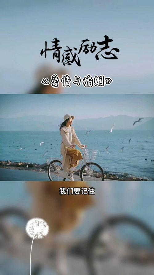 爱情与婚姻的感悟，爱情与婚姻之间的区别