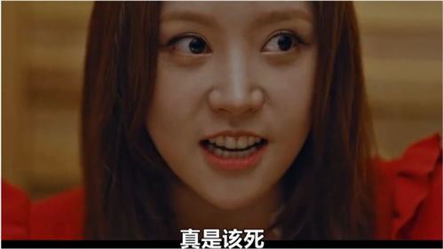 真面目的真是什么意思