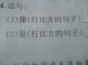 用像似的造句四年级上册，用像似的造句子四年级上册