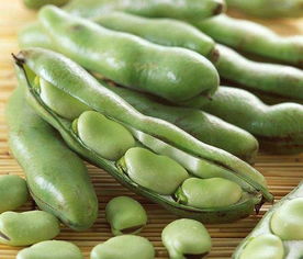 翡翠的豆种是什么意思