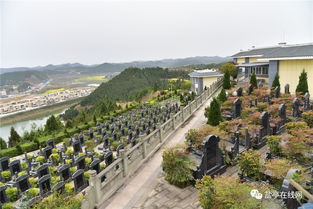 1月7日14时起绵阳重污染天气预警升级为橙色