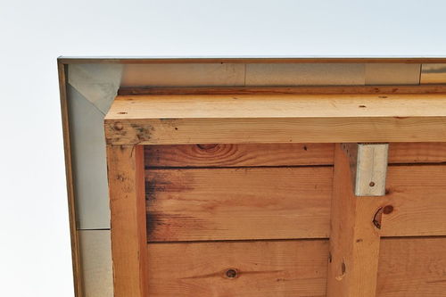 诺怎么组词组，贡献的献怎么组词