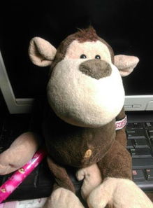 厌烦的拼音怎么读，厌恶的拼音怎么读音