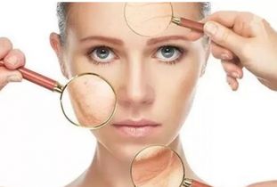 抗氧化是什么意思?