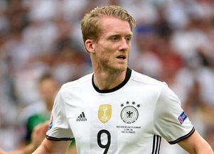 5大联赛都效力过的退役球员