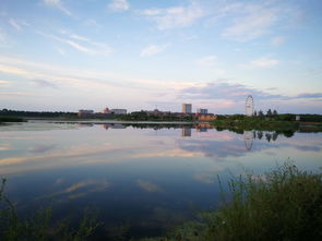 今年玉米价格为什么这么低,谢谢