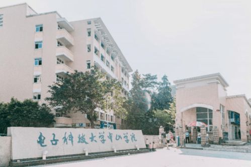 中山市电子科技大学中山学院学费，电子科技大学中山学院学费2021
