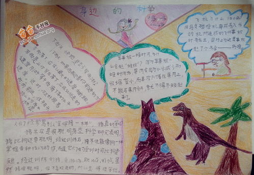 崇尚科学的手抄报内容