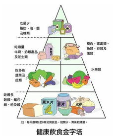 合理营养的午餐食谱，合理营养与食品安全教学设计