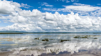 天高云淡怎么造句