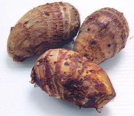 竽组词，竽头杆的功效与作用