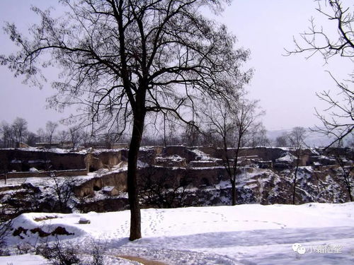 不知何处吹芦管的全诗，不知何处吹芦管一夜征人尽望乡的作者