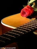 六弦琴是什么乐器的别称