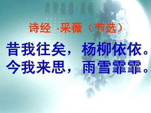 采薇古诗节选翻译