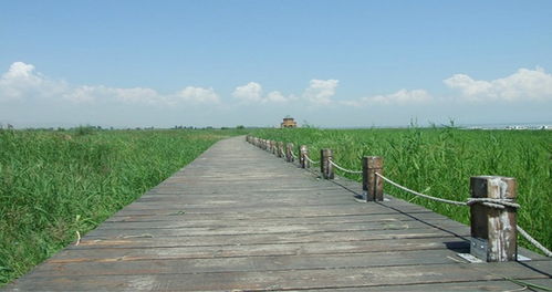 凉城县天气预报24小时详情，凉城县天气预报一周查询