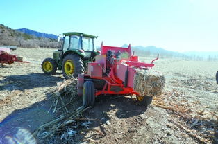 捡拾记忆里的珍珠作文600字，捡拾幸福