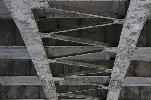 梁用的人物经历