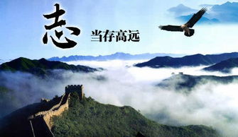 抱负是什么意思