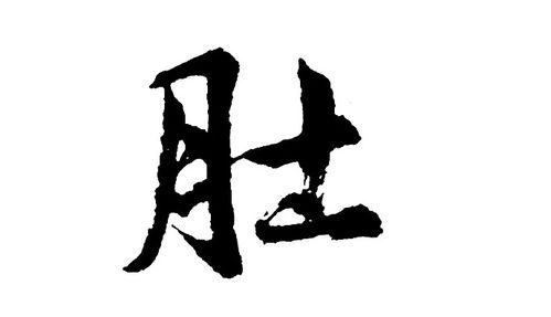 棕组词三年级，棕组词怎么组