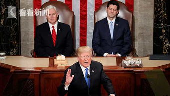 designate是什么意思