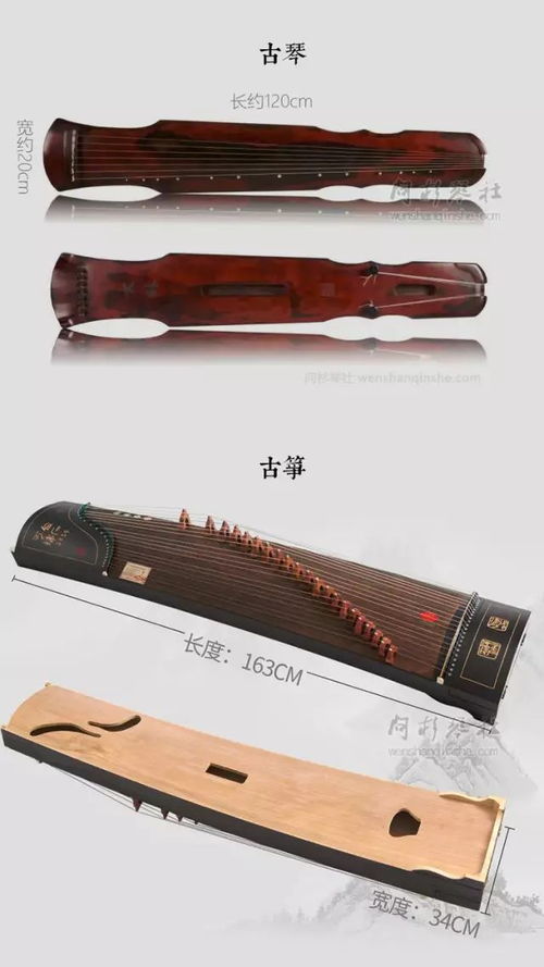 方榕榕,请问古筝与古琴哪个弦多
