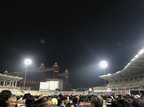 人声鼎沸的意思解释