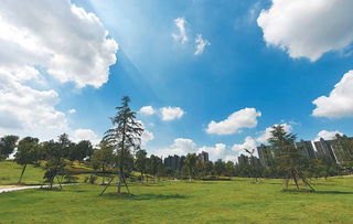 天高云淡造句一个，天高云淡造句简单一点三年级