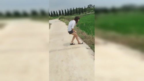 见机行事的意思解释，见机是什么意思