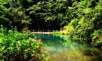 凄字组词和部首，凄字组词大全