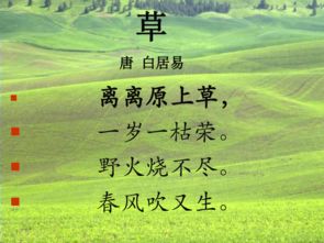 带草字古诗有哪些